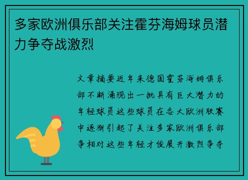 多家欧洲俱乐部关注霍芬海姆球员潜力争夺战激烈