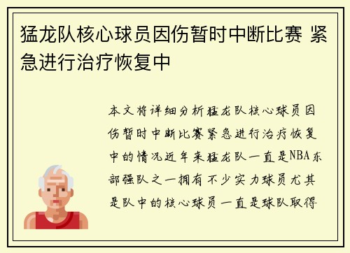 猛龙队核心球员因伤暂时中断比赛 紧急进行治疗恢复中